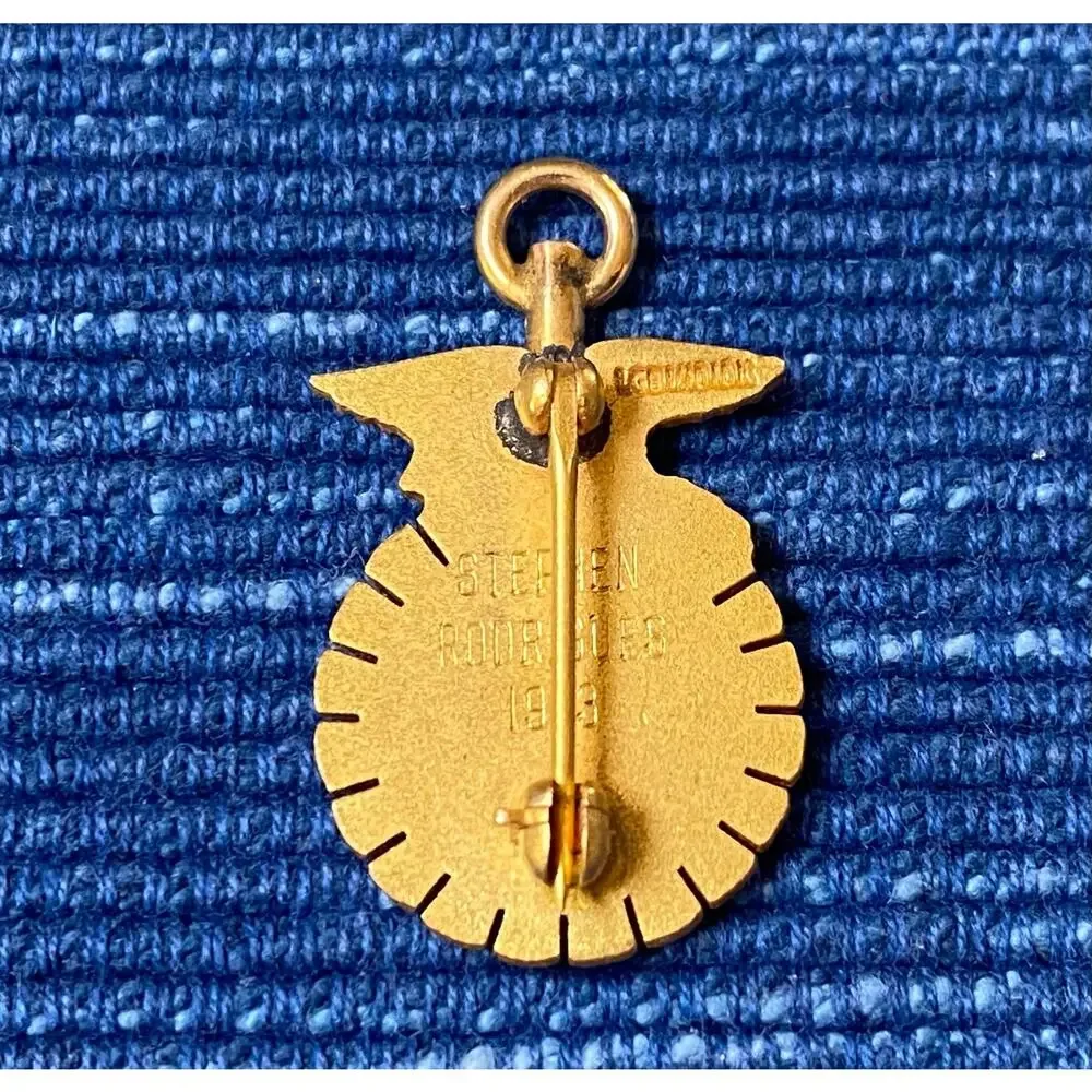 Vintage FFA Vocational Agriculture Pin / Pendant 1/10 10k Gold Filled
